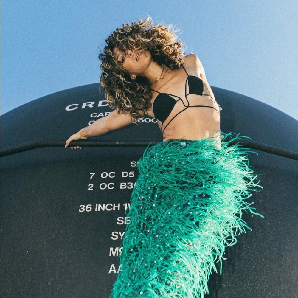 Bottega Veneta Feather Pants inspired pants